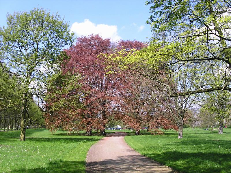 Farbspiel der Natur.JPG